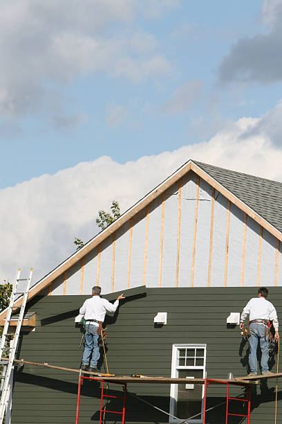 Best Same-Day Junk Removal Services  in Dillsboro, IN