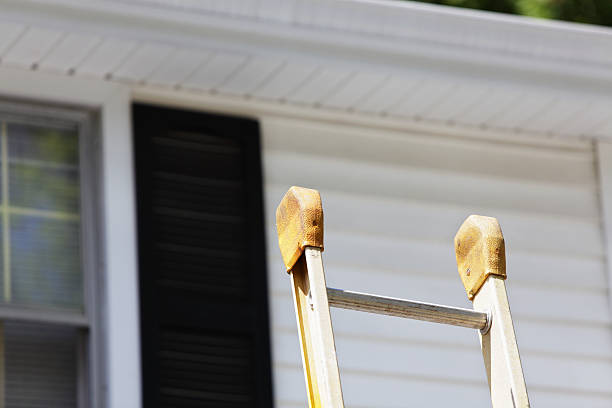 Best Dumpster Rental Services  in Dillsboro, IN