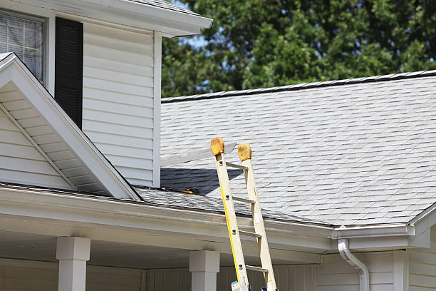 Best Shed Removal  in Dillsboro, IN